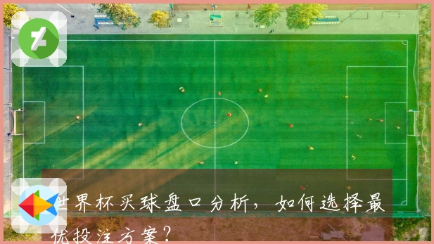 世界杯买球盘口分析，如何选择最优投注方案？