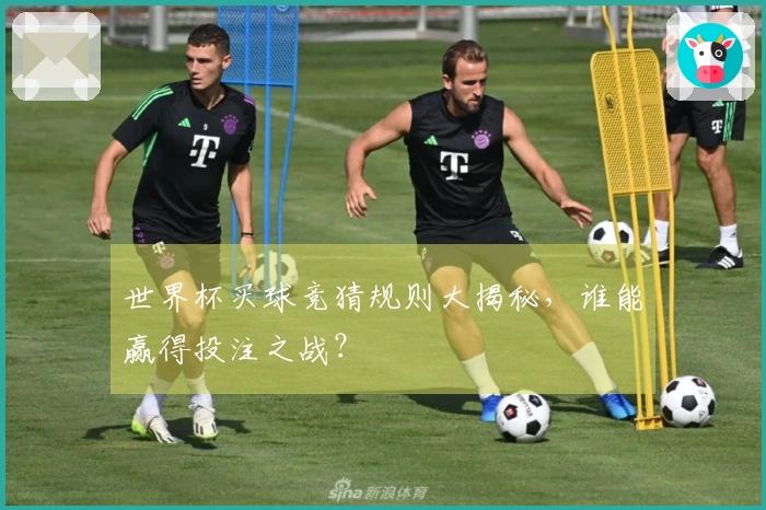 世界杯买球竞猜规则大揭秘，谁能赢得投注之战？