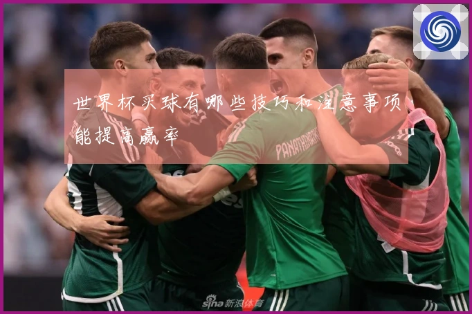 世界杯买球有哪些技巧和注意事项能提高赢率