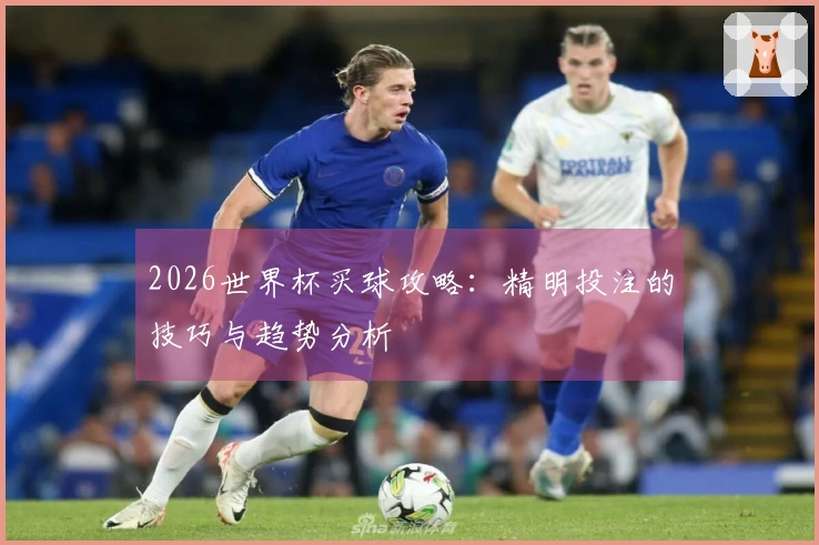 2026世界杯买球攻略：精明投注的技巧与趋势分析