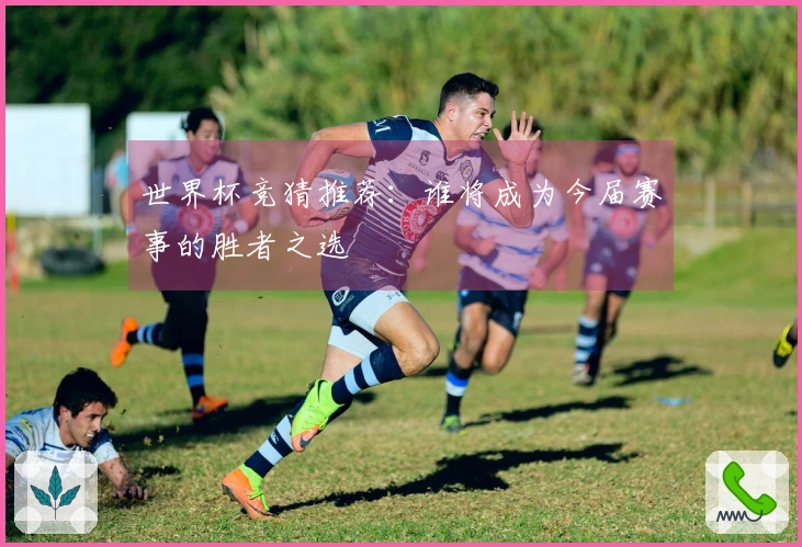 世界杯竞猜推荐：谁将成为今届赛事的胜者之选